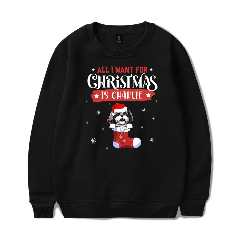 Christmas Wishlist - Personalized Custom Unisex T-Shirt T-F139