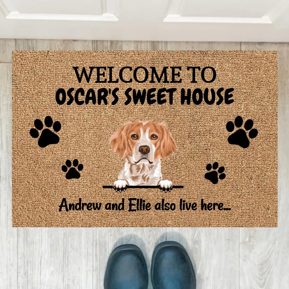 Joyousandfolksy Personalized Doormat - Gift For Dog Lovers, Cat Lovers