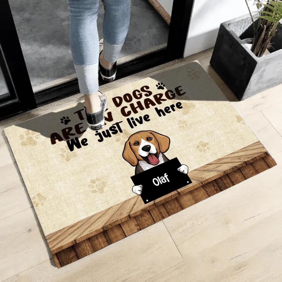 Joyousandfolksy The Dog Are In Charge, Custom Doormat, Personalized Doormat, Gift For Dog Lovers
