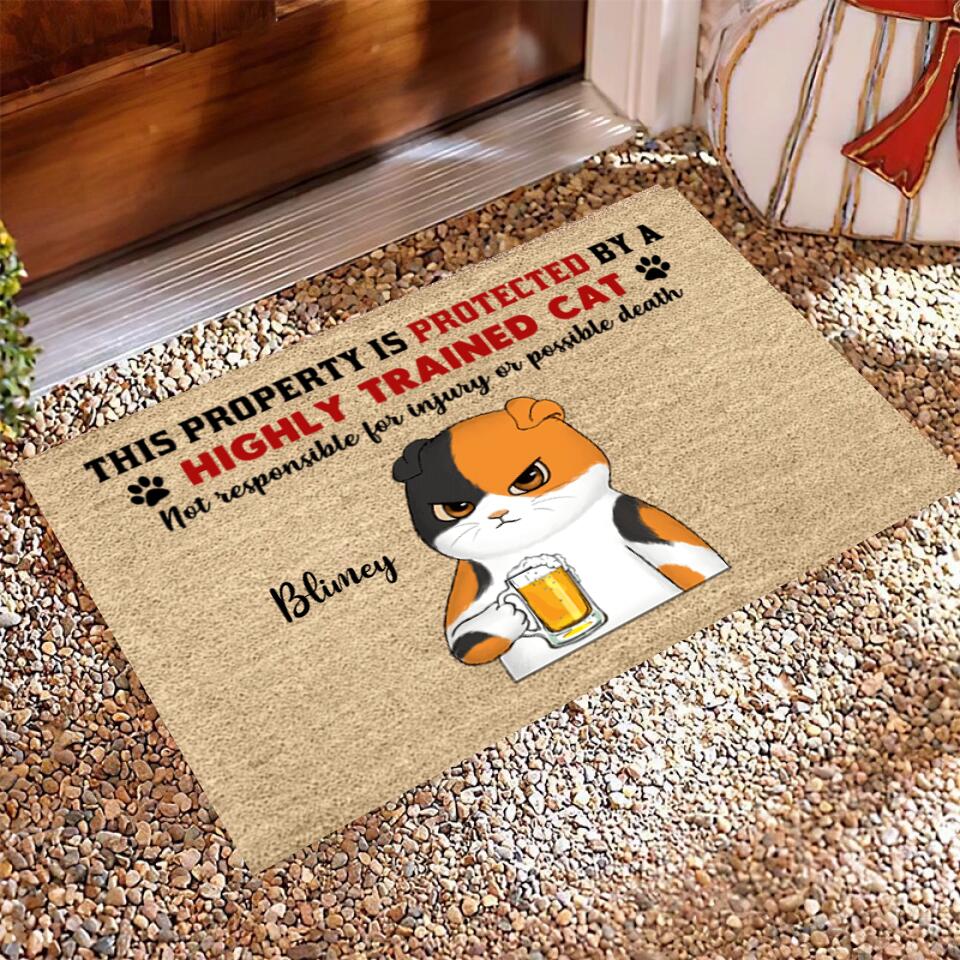 Joyousandfolksy Property Protected By Grumpy Cat Personalized Doormat
