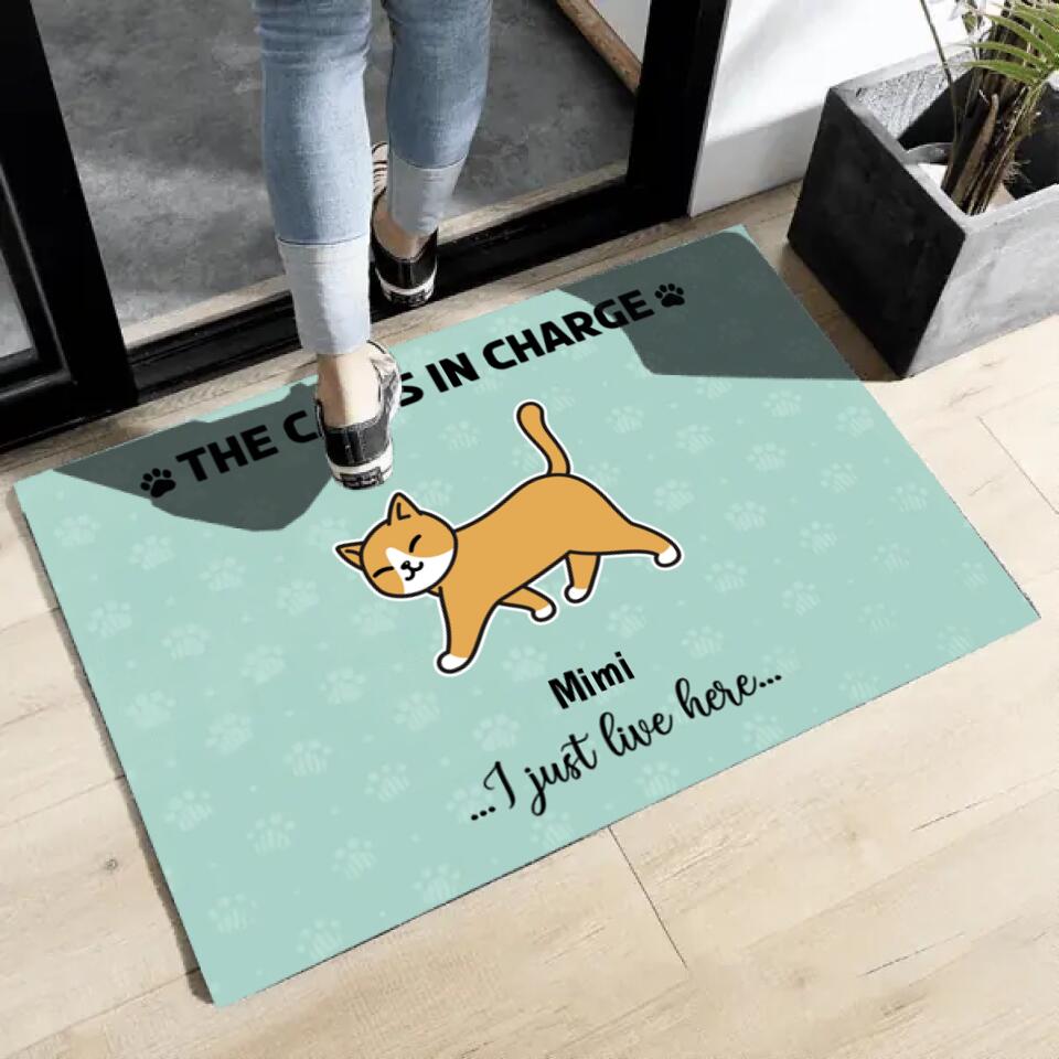 Joyousandfolksy The Cat In Charge Walking Cat Personalized Doormat
